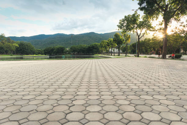 Best Residential Paver Driveway  in Grass Valley, CA